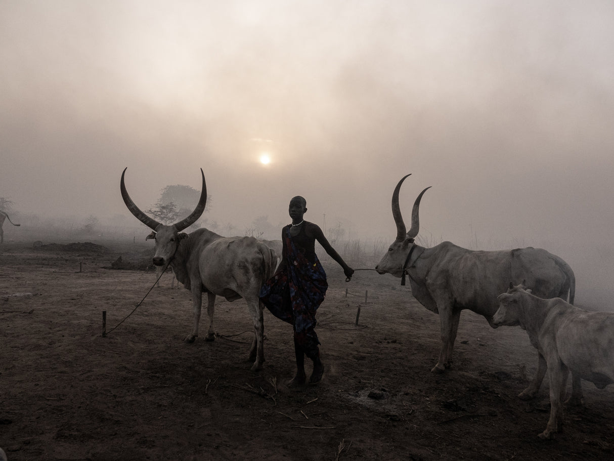 Sunset at Toch Manga mundari camp, South Sudan-3056 Poster och Canvastavla