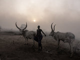 Sunset at Toch Manga mundari camp, South Sudan-3056 Poster och Canvastavla