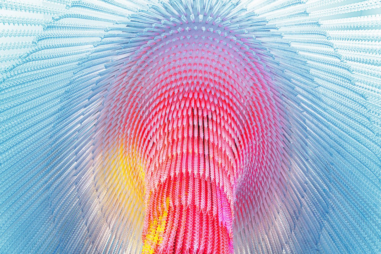 Pastel Dreamscape Poster och Canvastavla
