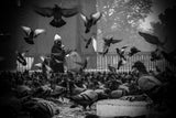 Feeding pigeons on the street, Beautiful street photo Poster och Canvastavla