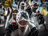 Japanese dance Awa Odori Poster och Canvastavla