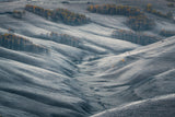November powder Poster och Canvastavla