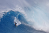 Surfing Jaws Poster och Canvastavla