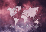World map 13 Poster och Canvastavla