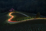 Vineyard Love Light Poster och Canvastavla