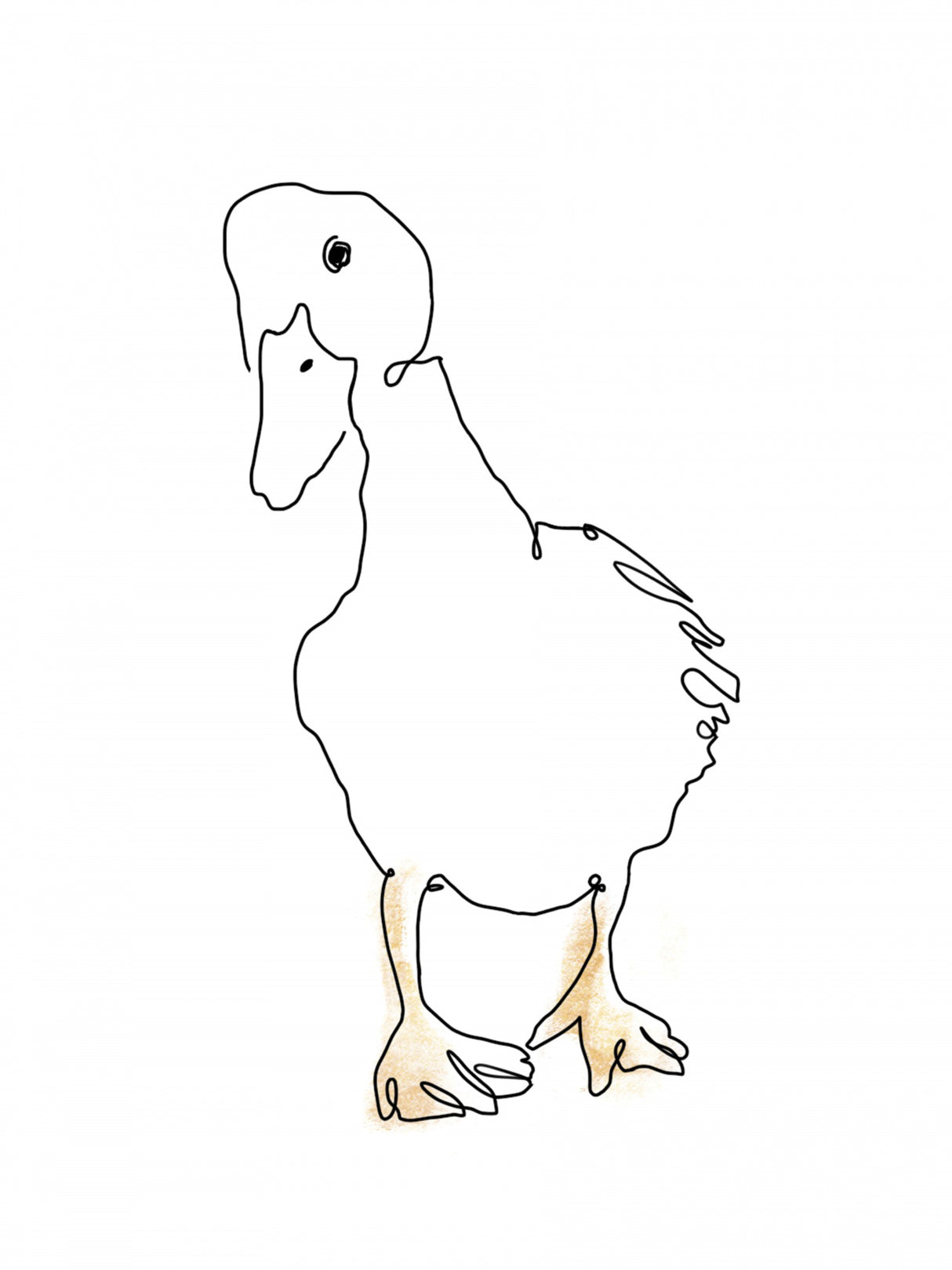 Ello Me Duck Poster och Canvastavla