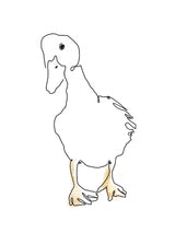 Ello Me Duck Poster och Canvastavla