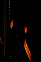 Curves. Poster och Canvastavla