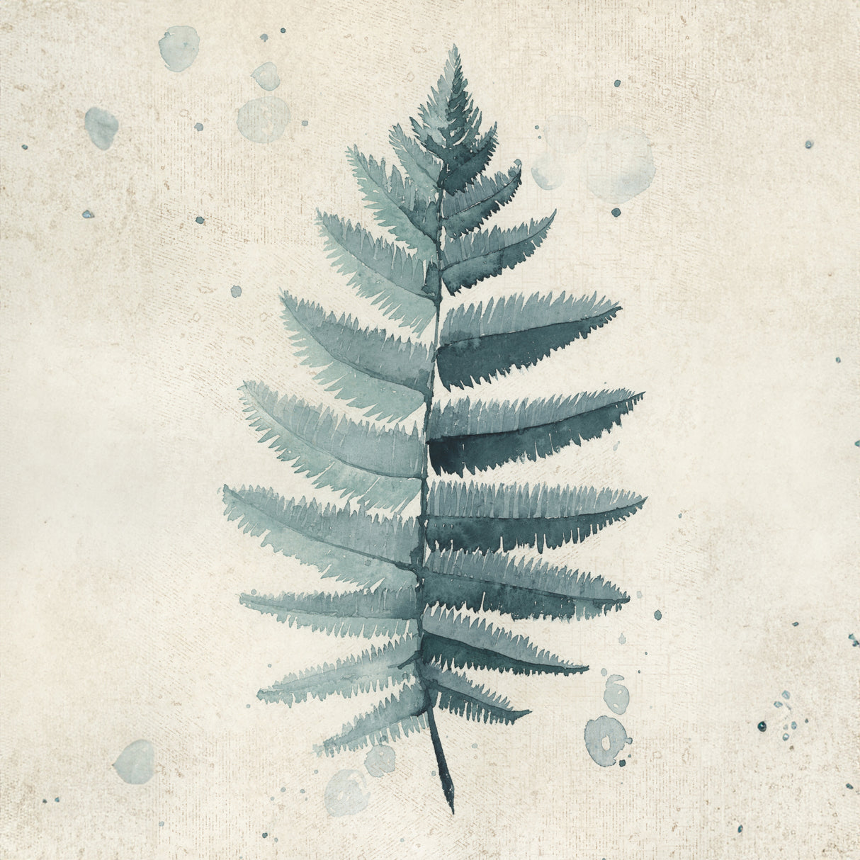 Teal watercolor fern 6 Poster och Canvastavla