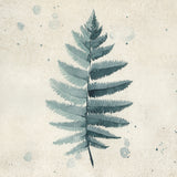 Teal watercolor fern 6 Poster och Canvastavla