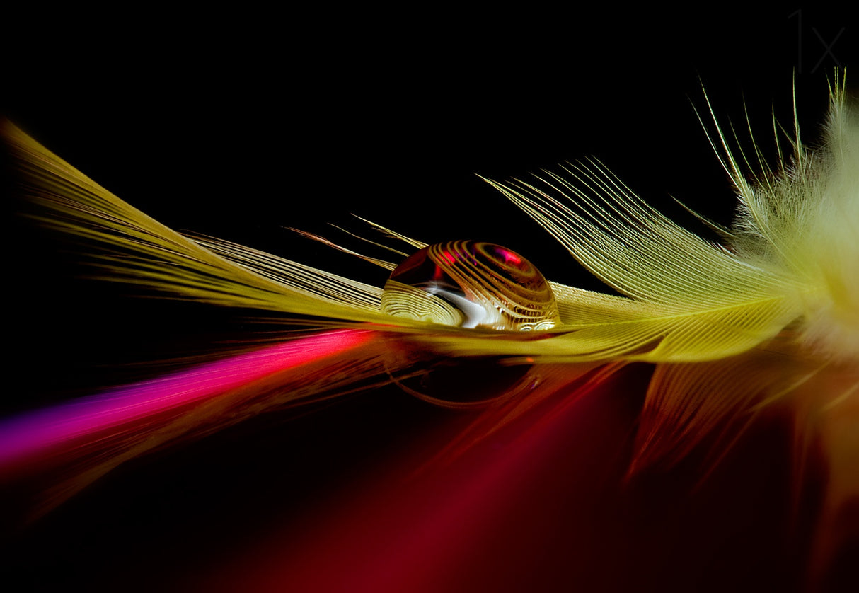 Colors in the drop Poster och Canvastavla