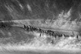Horses returning at dusk Poster och Canvastavla