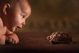 Babies Poster och Canvastavla