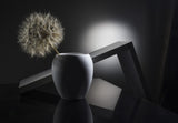 "Minimalism and the giant dandelion" Poster och Canvastavla