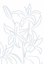 Lillies No 01 Poster och Canvastavla