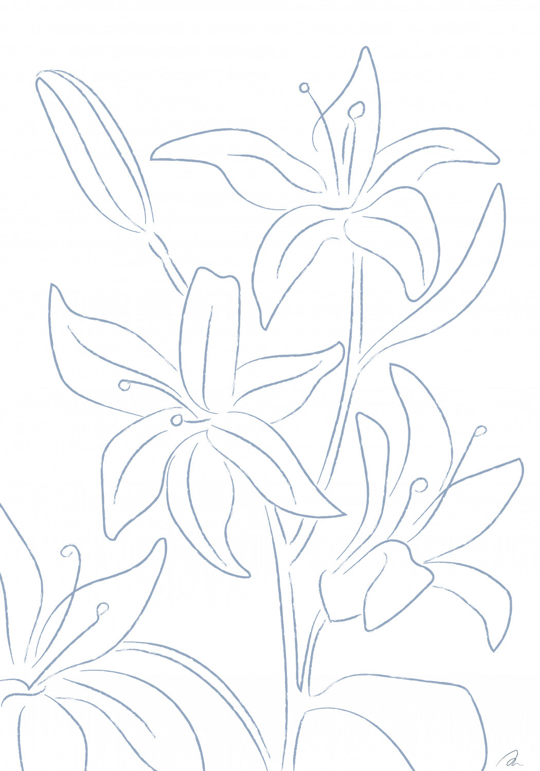 Lillies No 01 Poster och Canvastavla