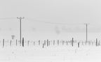 a winter's day Poster och Canvastavla