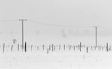 a winter's day Poster och Canvastavla