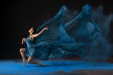 Moody ballerina Poster och Canvastavla