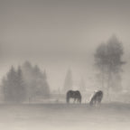 timeless moments Poster och Canvastavla