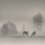 timeless moments Poster och Canvastavla