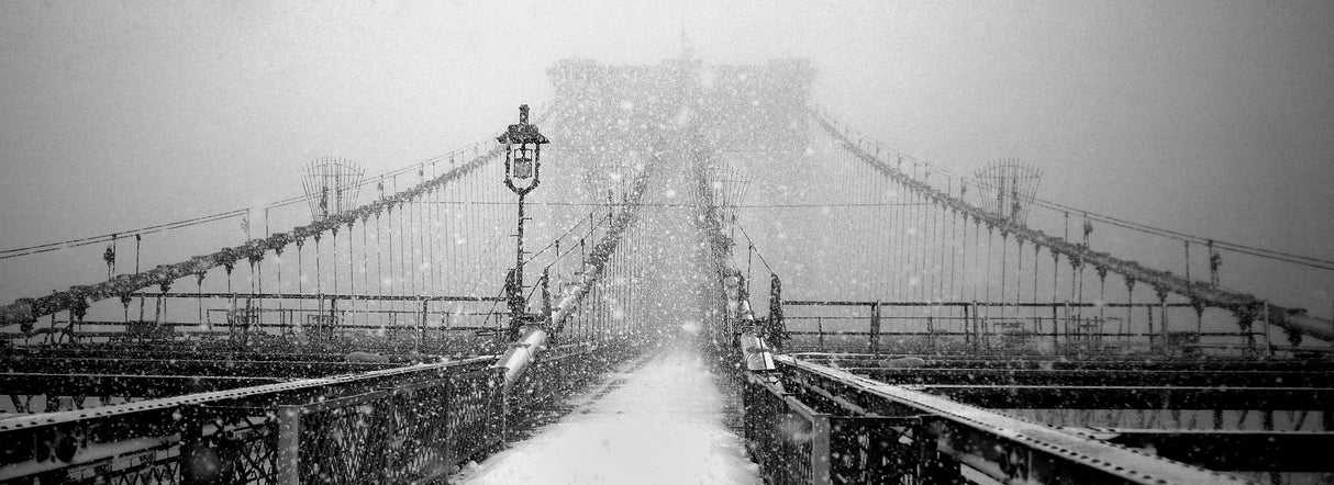 New York Walker in Blizzard Poster och Canvastavla