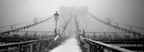 New York Walker in Blizzard Poster och Canvastavla