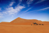 Desert Life .. Poster och Canvastavla