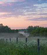 Fog and sunset Poster och Canvastavla