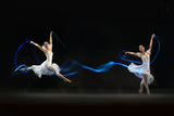 Fly and Flow Poster och Canvastavla