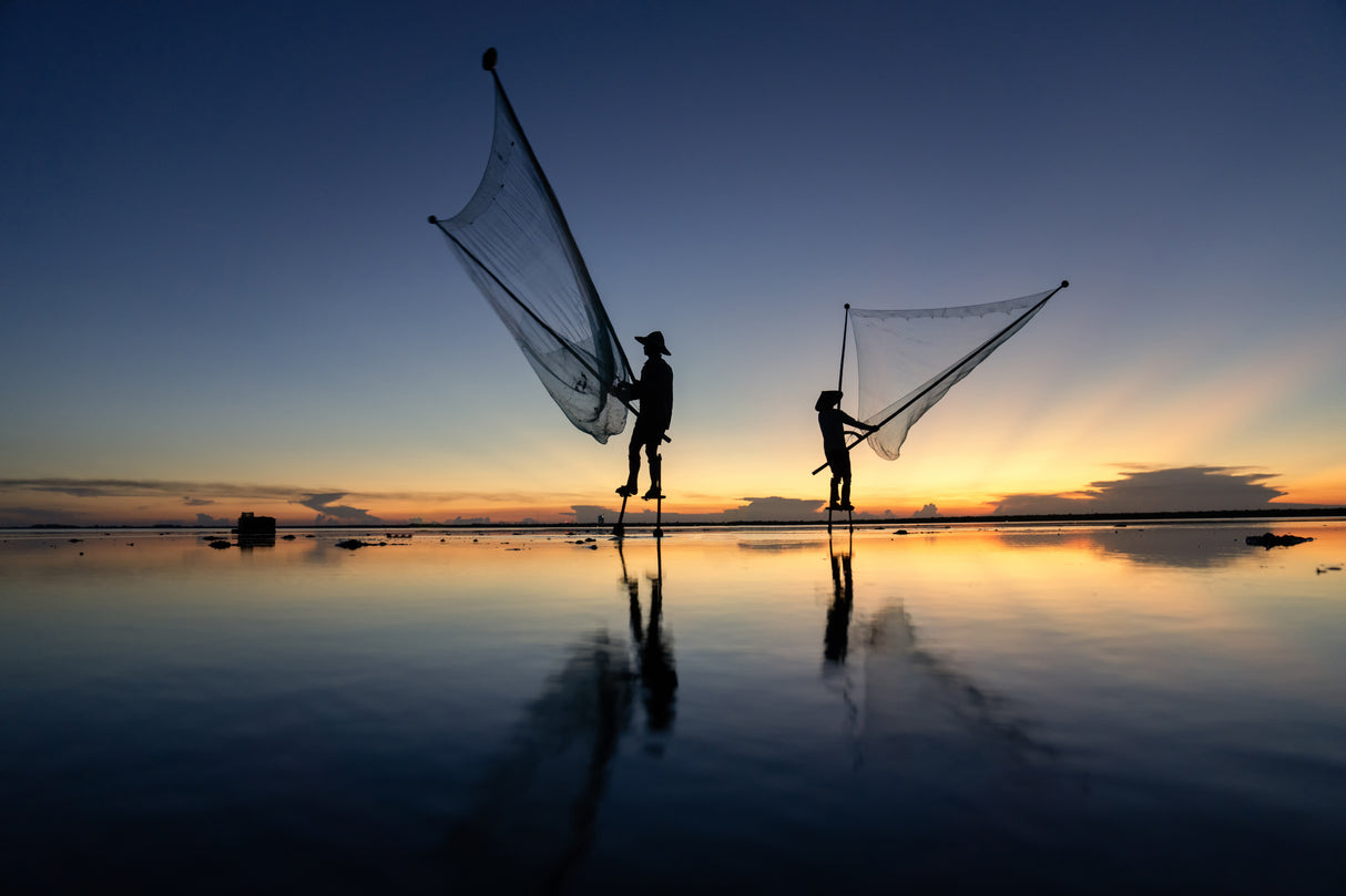 Vietnam Fishing Thái Bình Poster och Canvastavla