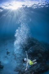 Lady of the reef Poster och Canvastavla