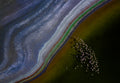 crossing over the rainbow Poster och Canvastavla