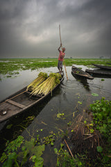 Wetland and boatman Poster och Canvastavla