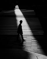Emerging from the shadow Poster och Canvastavla