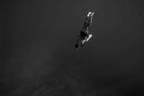 FreeDiver Poster och Canvastavla