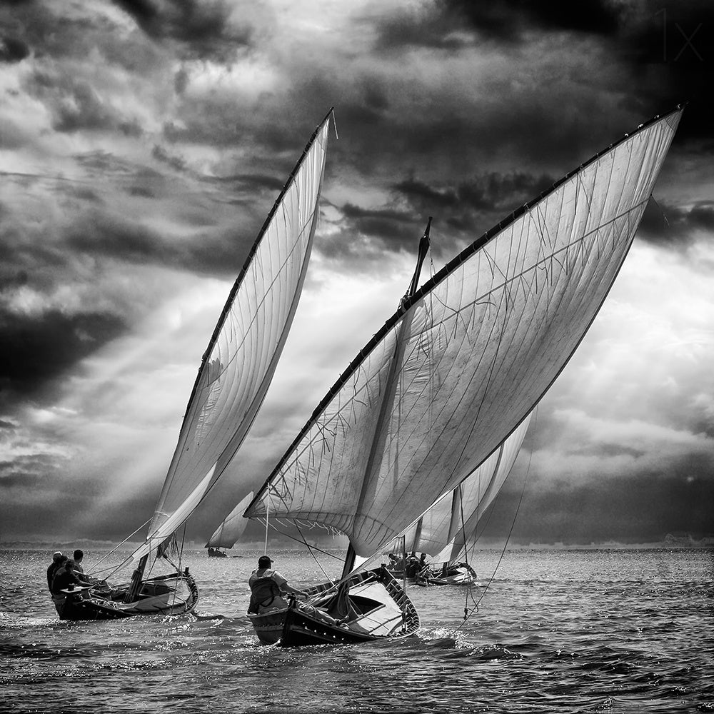 Sailboats and Light Poster och Canvastavla