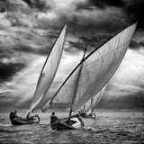Sailboats and Light Poster och Canvastavla