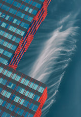 Like a feather in the air. Poster och Canvastavla