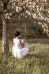 cherry tree swing Poster och Canvastavla