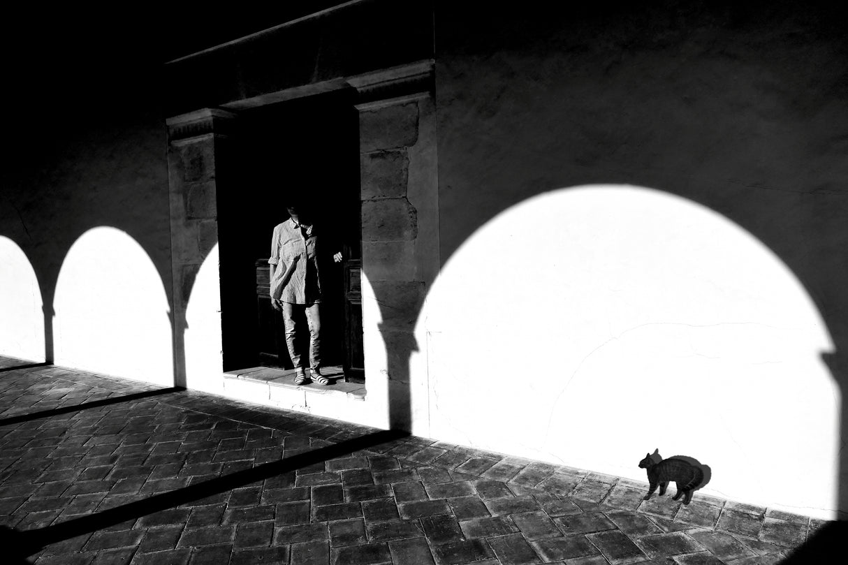 Meeting in the cloister Poster och Canvastavla