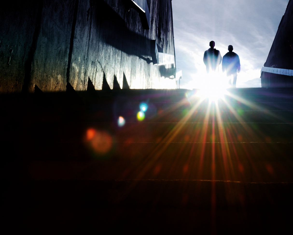 Feel The Light Poster och Canvastavla