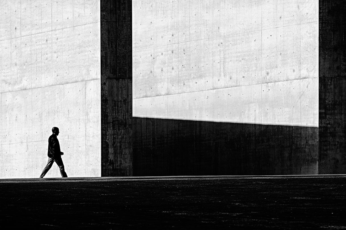 Between light and shadow Poster och Canvastavla