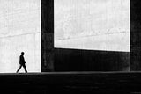 Between light and shadow Poster och Canvastavla