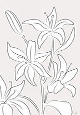 Lillies No 03 Poster och Canvastavla