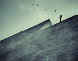 The balloon Poster och Canvastavla
