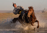 Water Crossing Poster och Canvastavla