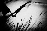 Autumn Shadows Poster och Canvastavla