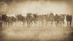 Serengeti Shall Not Die Poster och Canvastavla