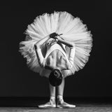 Ballerina at class Poster och Canvastavla